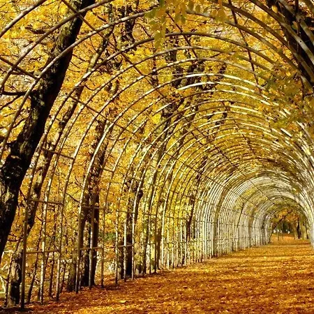 Baywatch-lux 2 * Kołobrzeg