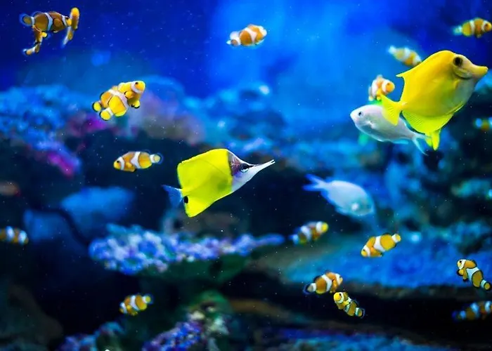 Apartment Baywatch-lux 2